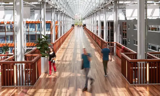 Deltion faciliteiten brug