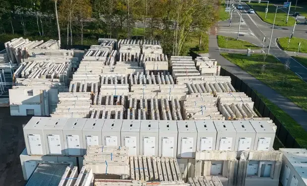 Tasveld